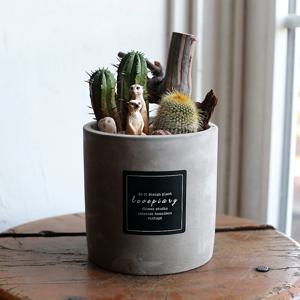 사막의 경비원 미어캣 스토리팟 DIY 키트 다육화분
