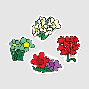 블루밍카드 4종 수선화 아네모네 카네이션 플루메리아
