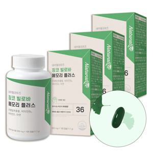 징코빌로바 메모리 플러스 180정 3팩