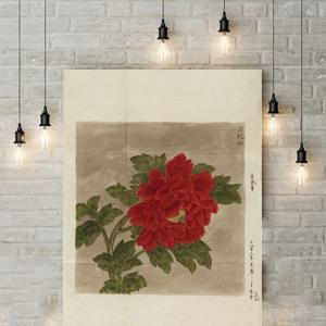 목단꽃 모란꽃 목단 모란 그림 목단화 현관 액자 외국인선물 개업선물 풍수 그림 포스터