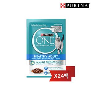 원 캣 습식 파우치 청정바다생선맛 70g 24팩
