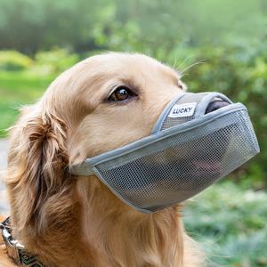 애견 원버튼 메쉬 입마개 강아지 산책 짖음방지 소형견 대형견