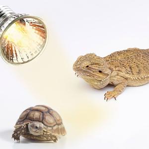 UV 파충류 할로겐램프 4p