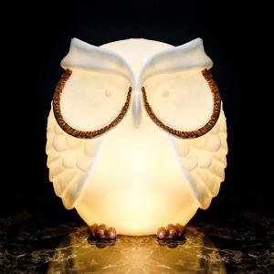 눈썹 부엉이 무드등 입체 조명(전구 증정)
