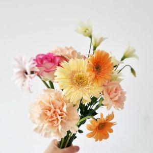 정기구독 생화 꽃다발 배송 택배