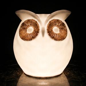 빅아이 부엉이 무드등