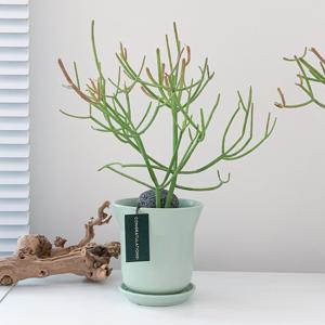 [식집사 지원쿠폰 5%] 파티오라금+오목 세라믹 화분 2color