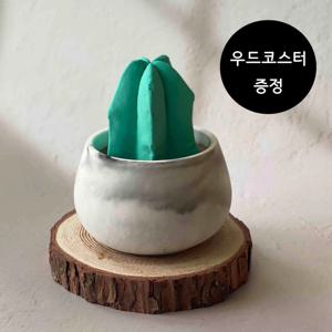 선인장 화분 석고방향제 + 우드코스터 (개업집들이선물/선물상자/인테리어소품)