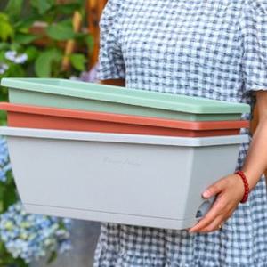 대형화분 상추키우기 플라스틱 다육기 블루베리 베란다텃밭