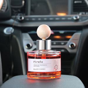 1+1 NEW 플랜느 방향제 차량용 디퓨저 120ml (총 240ml)