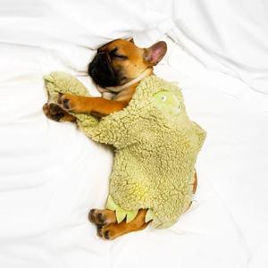 머스크 내추럴 프렌즈 시리즈 반려동물 장난감 강아지장난감 강아지인형 강아지애착인형