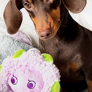 팬지 내추럴 프렌즈 시리즈 반려동물 장난감 강아지장난감 강아지인형 강아지애착인형