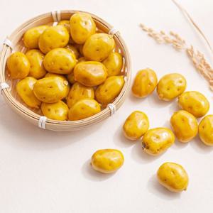 미니 통통감자 모형 20개