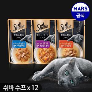 쉬바 고양이간식 수제수프 40g x12개