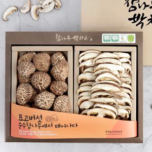 무농약 경성표고버섯  참나무박차고 동고 2종세트