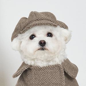 강아지선캡 애견모자 해링본 헌팅캡 브라운 (B031_BR)