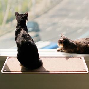 냥반I 윈도우 원목 캣타워 창문 감성 해먹 수납 선반 60cm 70cn 118cm