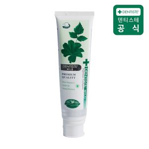 마일드 튜브형 치약 160g