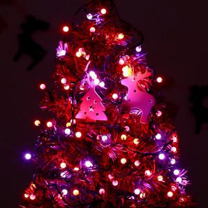 도토로 100구 검정선 앵두 칼라 지니전구(5