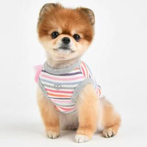 핑카홀릭 강아지 옷 쥬쥬 티셔츠  2colors