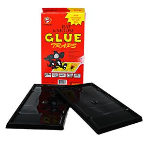 쥐글루 쥐덫 쥐퇴치 쥐 끈끈이 잡기 잡이 5세트