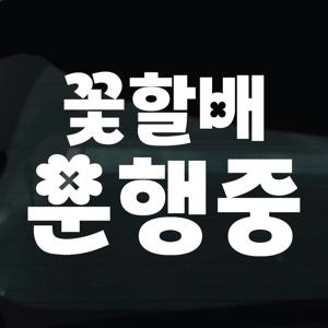 어르신운전중 스티커 안전운전 차량 자동차 데칼 시트지 25 꽃할배운행중