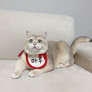 크리스마스 누빔 이름자수 강아지 고양이 턱받이 2colors