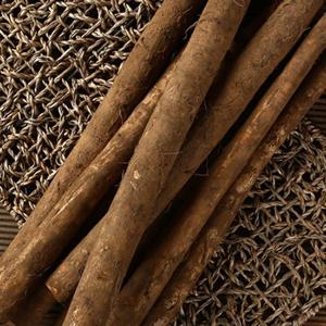 24년 국내산 진주 햇 우엉 2kg/4kg(특품)
