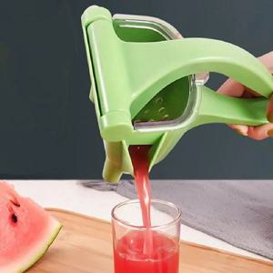 홈메이드 생과일 쥬스 만들기 프르트 착즙기