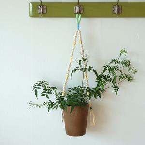 학자스민 행잉 화분 벽걸이 화분 행잉플랜트