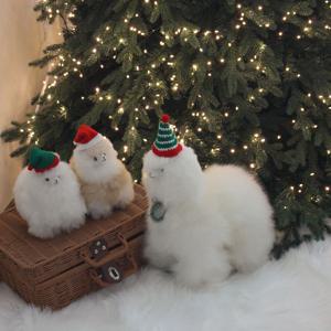 [단독] alpaca doll - christmas set