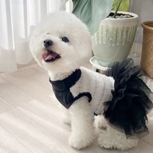 강아지 원피스 밍크 튜튜 웨딩 드레스룩 강아지 가을옷