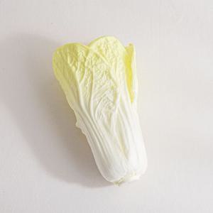 알배기 배추 모형 (옐로우)