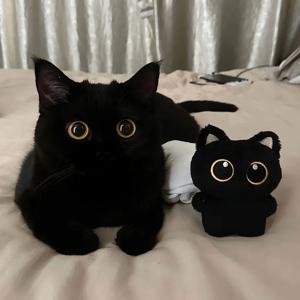 귀여운 검정 고양이 깜냥이 동물 인형 키링 열쇠고리