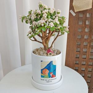 은행목+어린왕자 프린트 커스텀 30cm~13W 개업선물 승진화분 영전 이사 결혼 퇴사 축하
