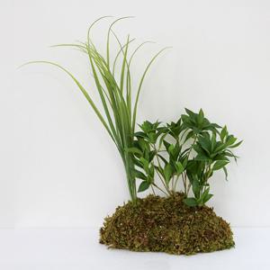 마취목 미니 조경 모듈