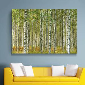청량한 자작나무 그림 액자 풍수 식물 풍경 힐링 거실 현관 금전운 인테리어 캔버스액자