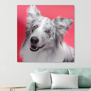 특대형 정사각형 벽걸이용 메탈액자 웨딩사진 가족사진 반려동물 전시 포토테이블 주문제작