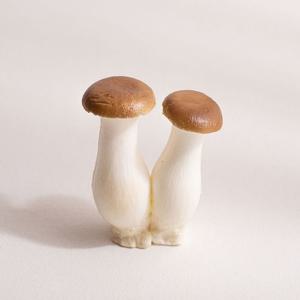 새송이버섯 모형