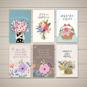 캘리그라피 감사카드 6종 세트