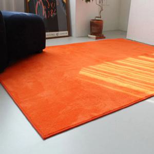 국산 100x150 소프트 극세사 거실 카펫 카페트 사계절 침실 러그 4color