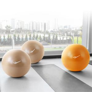 안티버스트 튼튼 짐볼 임산부 다이어트 65cm 요가 필라테스 스트레칭 홈트