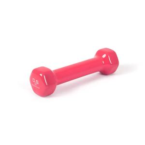 논슬립 PVC 아령 덤벨 0.5kg 남자 여자 미용 홈트 운동