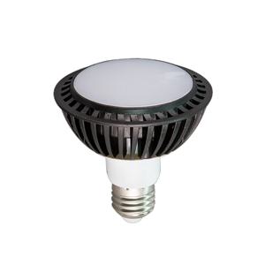 LED PAR30 확산형 15W 보급형