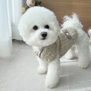 강아지 패딩 꽈배기 니트 보온 강아지옷 따뜻한 겨울 방한복 S