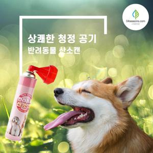 강아지 산소캔 고양이 산소호흡기 애견 산소마스크 반려동물 산소통