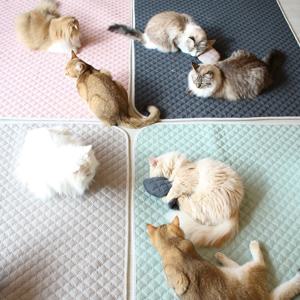 초코펫 고양이 스크래쳐 반영구 놀이방 냥이 행복 카페트