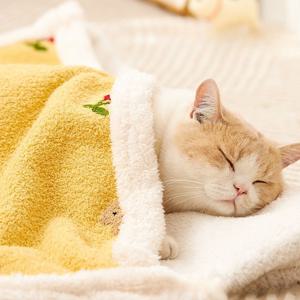강아지 고양이 애견 이불 극세사 담요 켄넬 강아지유모차이불