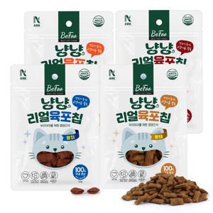 리얼 냥냥 육포칩 x4팩 고양이간식 치석제거 참치 황태 소고기 치킨