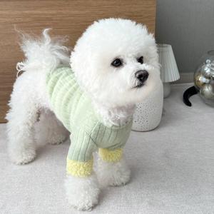 강아지 니트 티셔츠 앙고라 배색 간절기 따뜻한 겨울옷 강아지옷 S